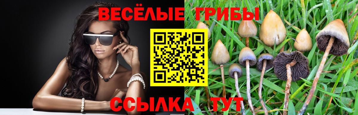 Псилоцибиновые грибы GOLDEN TEACHER  Вход с VPN  Костомукша 