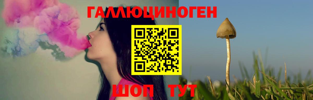 Галлюциногенные грибы мицелий Костомукша